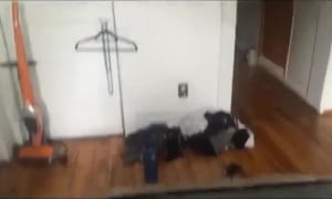Addison Timlin Porn Sex Tape & Nudes 