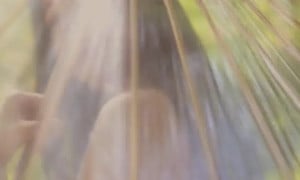 Moon Maison Nude Under the Umbrella Video 