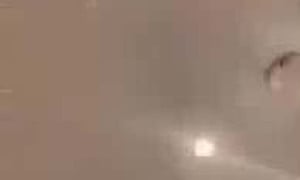 Bhad Bhabie Sexy with her friends - New video update