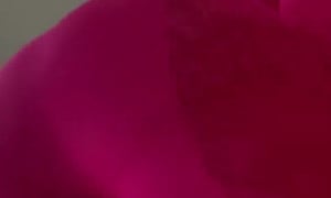 Iggy Azalea POV Booty Clap  Video 