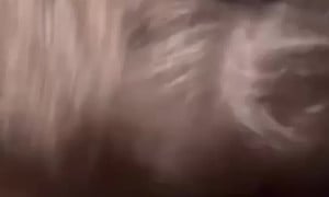Cierra Mistt new sex tape in car Hot trending  