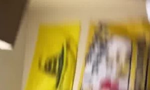 Breckie Hill Hot Sex Tape Today