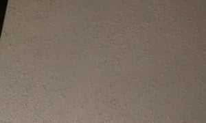 Omegle