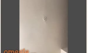 Omegle