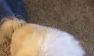 Megmariiee/Meggyeggo/Megan Mccathy - Nude show on mirro... Omg Hot  trending video