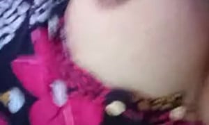 Indo Tits