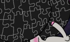 Mr. Puzzles slave