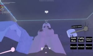 6 | Roblox Porn