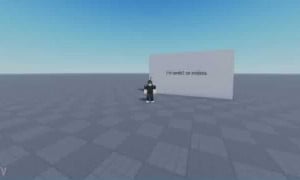 V&iacute;deo de verificaci&oacute;n