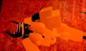 Getting railed and creampied by Jah