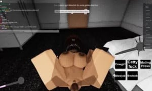 17 | Roblox Porn