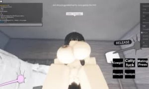 14 | Roblox Porn