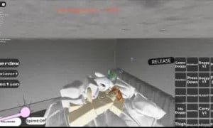 ROBLOX HANDJOB AND BLOWJOB