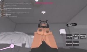 27 | Roblox Porn