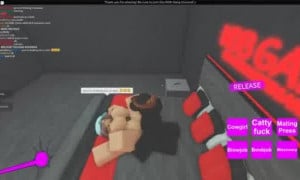 19 | Roblox Porn