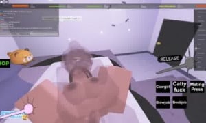 3 | Roblox Porn