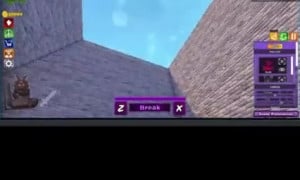 Verification video