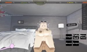 23 | Roblox Porn