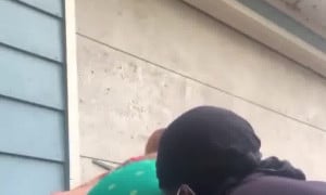 Face Breaker