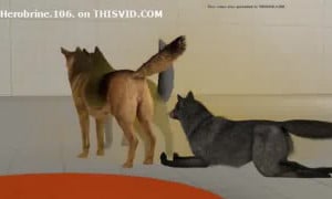 Two dogs farts into an woof face