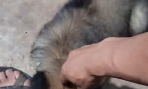 Xxx