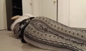 Girl farting - video 822