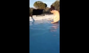 Real niece uncle french incest