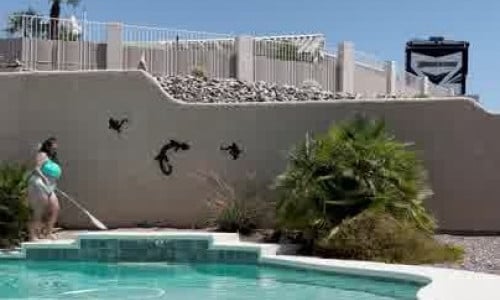 Ashleighdunn's Cleans The Pool In Bikini