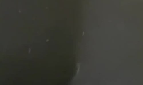 Big fart from a big butt