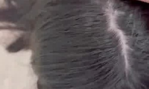 Elenita Forger Gives Head While Her BF Films