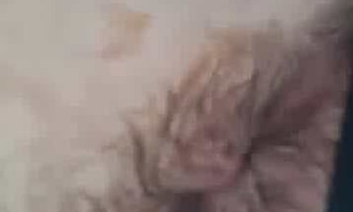 Fart in thongs - video 2