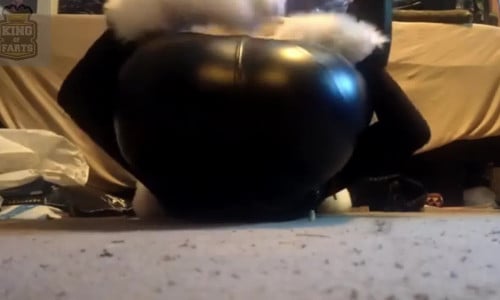 Furry fart - video 5