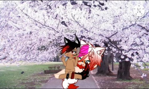 Reguest for brucefisher