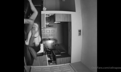 Celina Powell - surveillance camera sextape