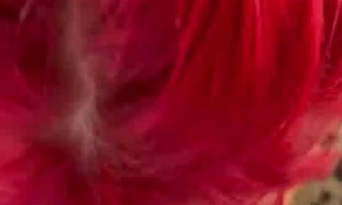 Nala Fitness Gets Pounded And Creampied